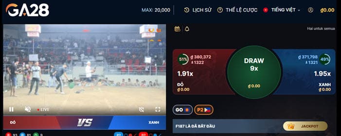 Đá Gà Kubet88 Trực Tuyến Uy Tín